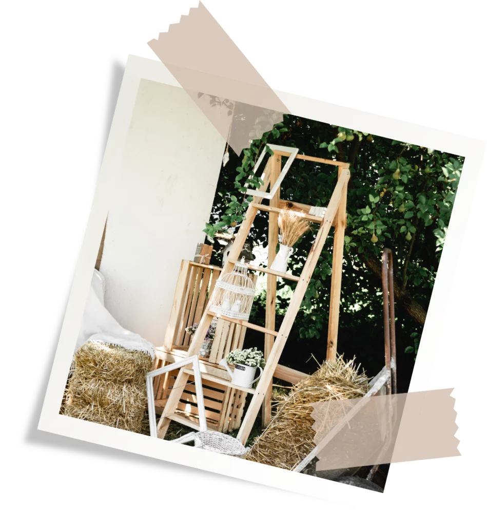 Simone c'est dans la boîte